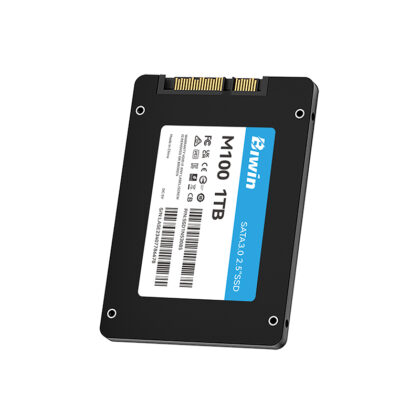 Disco Sólido SSD Biwin M100 1TB SATA III 2.5"