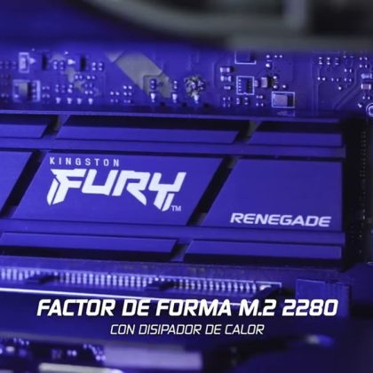 Kingston FURY Renegade 1TB SSD M.2 NVMe PCIe 4.0 - 7300MB/s Lectura